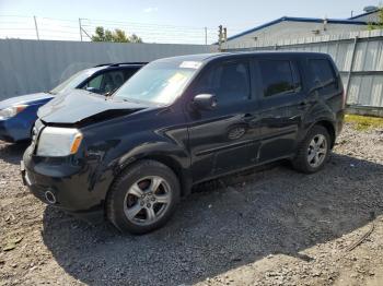  Salvage Honda Pilot