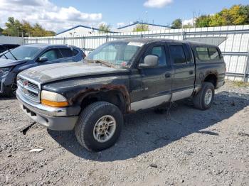  Salvage Dodge Dakota