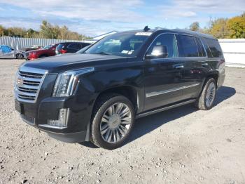  Salvage Cadillac Escalade