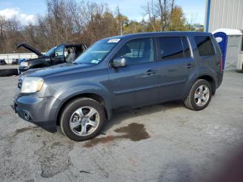  Salvage Honda Pilot