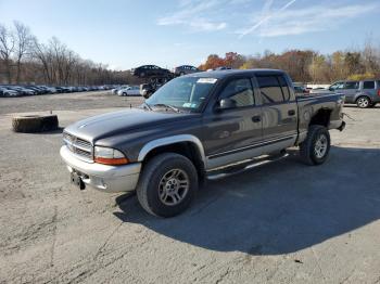  Salvage Dodge Dakota