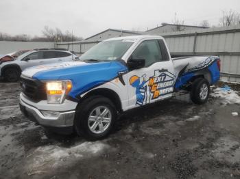  Salvage Ford F-150