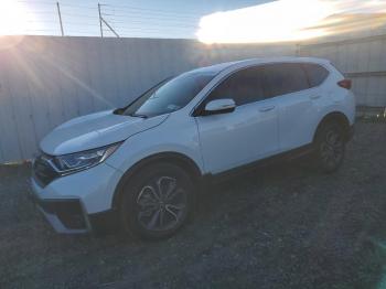  Salvage Honda Crv