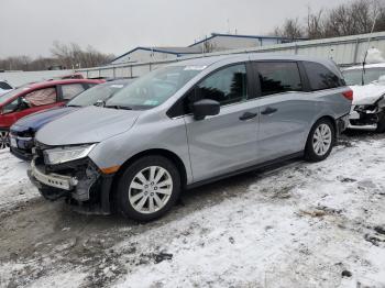  Salvage Honda Odyssey