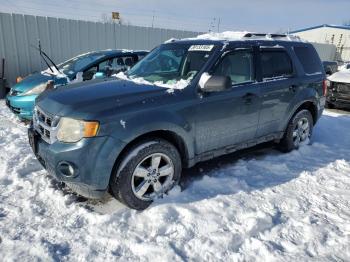  Salvage Ford Escape