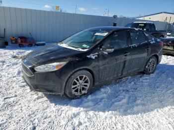  Salvage Ford Focus