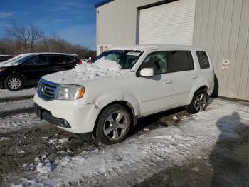  Salvage Honda Pilot