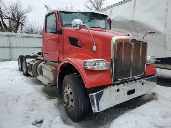  Salvage Peterbilt 567