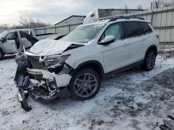  Salvage Honda Passport