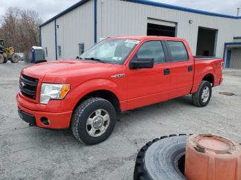  Salvage Ford F-150