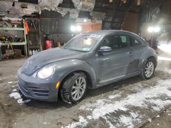  Salvage Volkswagen Beetle