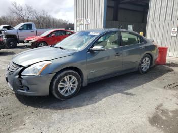  Salvage Nissan Altima