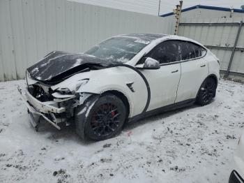  Salvage Tesla Model Y