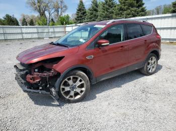  Salvage Ford Escape