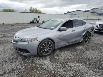  Salvage Acura TLX