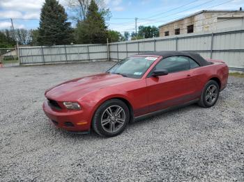  Salvage Ford Mustang