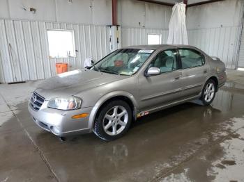  Salvage Nissan Maxima