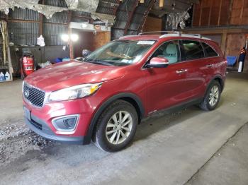  Salvage Kia Sorento