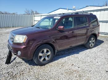  Salvage Honda Pilot