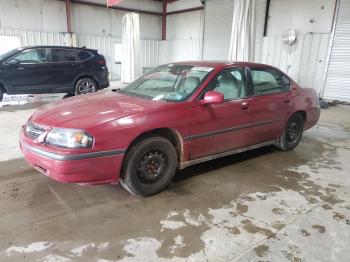  Salvage Chevrolet Impala