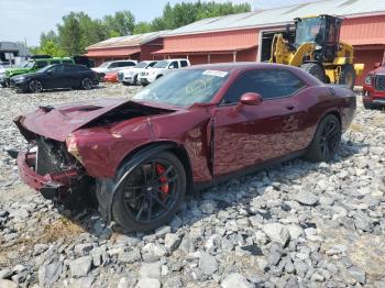  Salvage Dodge Challenger
