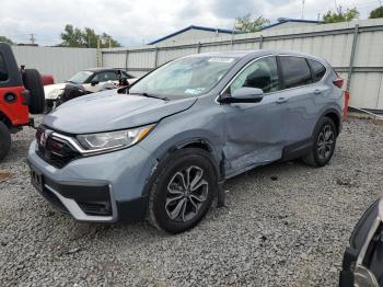  Salvage Honda Crv