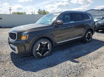  Salvage Kia Telluride
