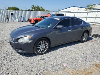  Salvage Nissan Maxima