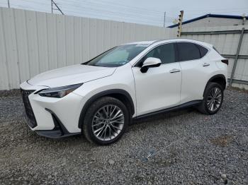  Salvage Lexus NX