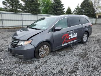  Salvage Honda Odyssey