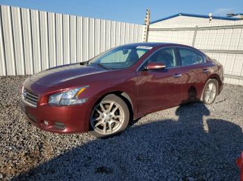  Salvage Nissan Maxima