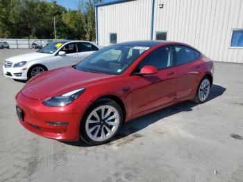  Salvage Tesla Model 3