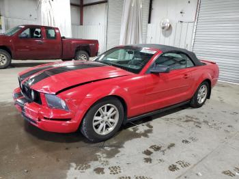  Salvage Ford Mustang