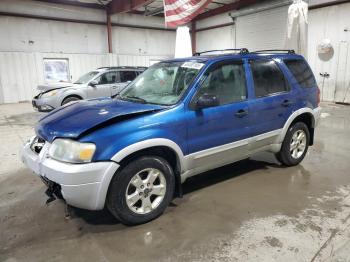  Salvage Ford Escape