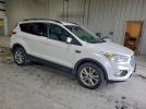 Ford Escape Sel Image 9