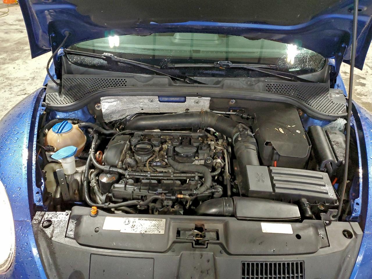 Volkswagen Beetle Turbo Image 5