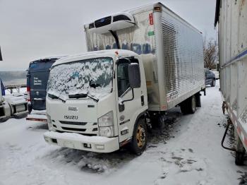  Salvage Isuzu Nqr