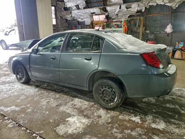 Saturn Ion Level 2 Image 2