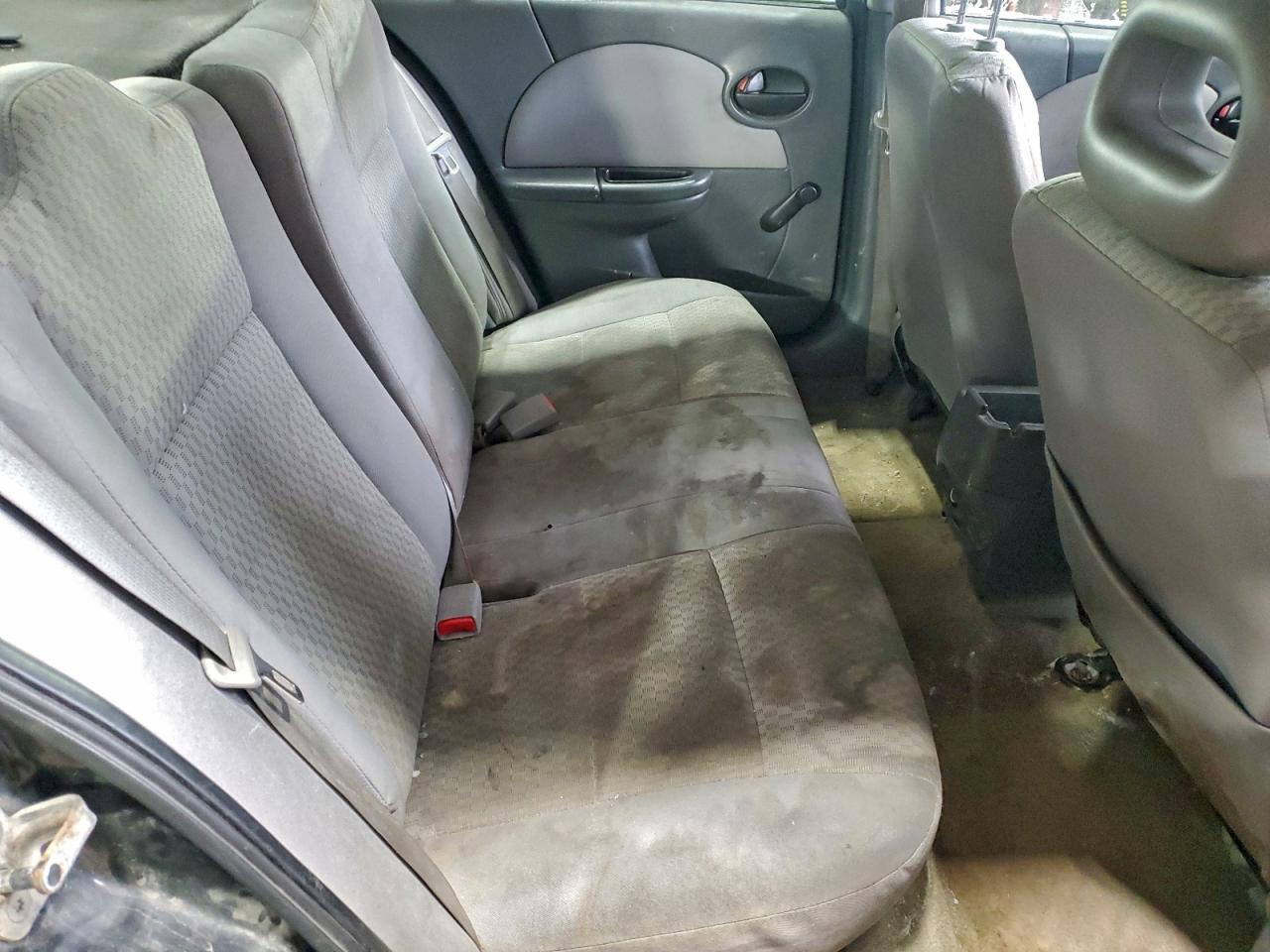 Saturn Ion Level 2 Image 10