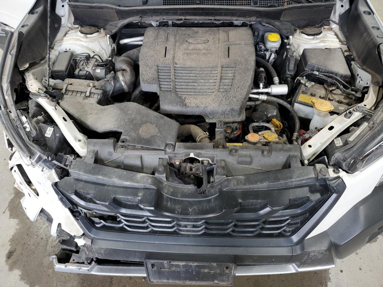 Subaru Forester Wilderness Image 2