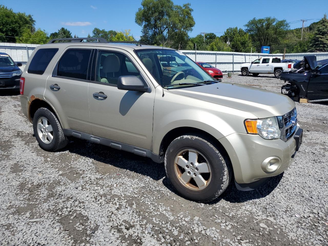 Ford Escape Xlt Image 4