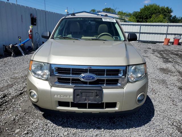 Ford Escape Xlt Image 9