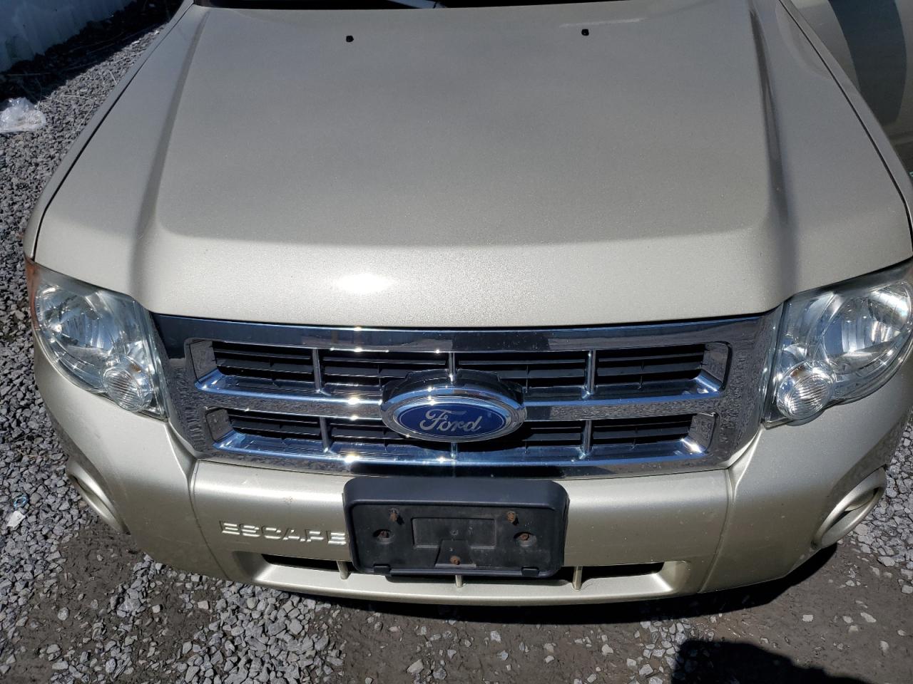 Ford Escape Xlt Image 8