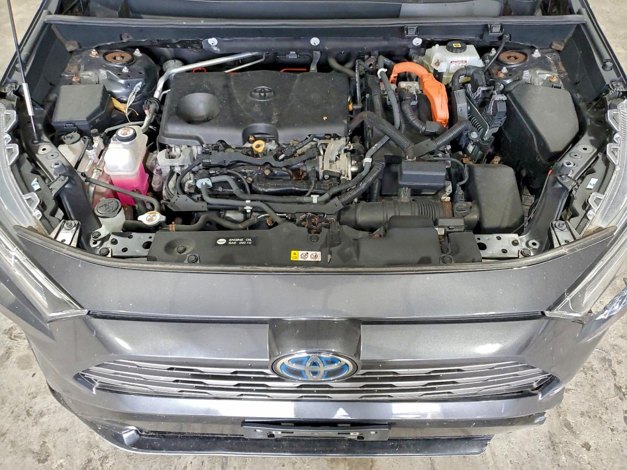 Toyota RAV4 Xse Image 8