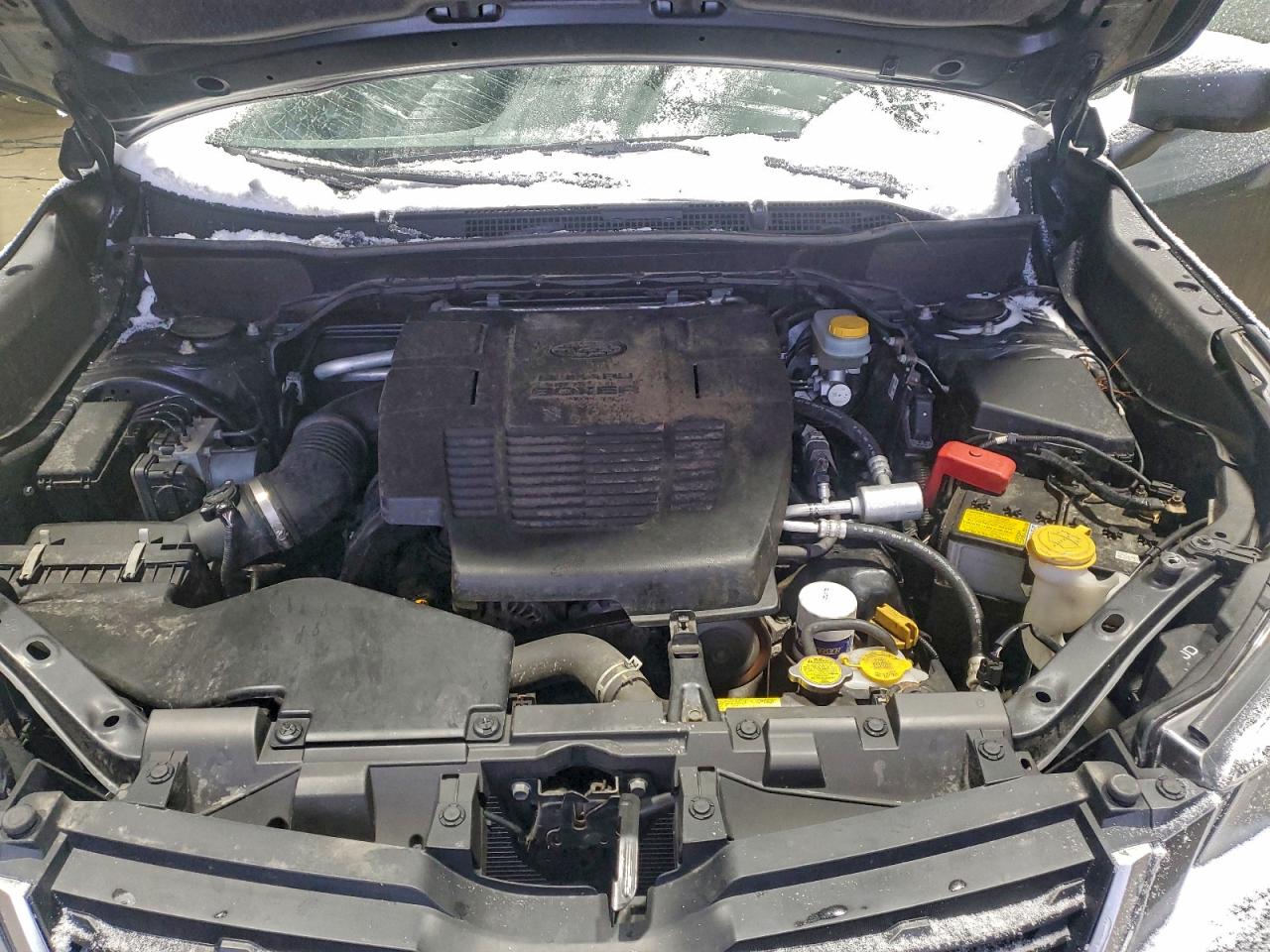 Subaru Forester Image 13